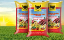 Phân bón Bình Điền (BFC) giảm hơn 80% lợi nhuận trước thuế trong quý 4/2022, đặt kế hoạch đi lùi tiếp 80% trong quý 1/2023