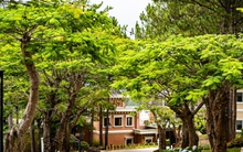 5 điểm đến cho chuyến du lịch Tết Quý Mão 2023