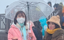 Miền Bắc rét đậm, rét hại, miền Trung đề phòng dông lốc trong tuần tới