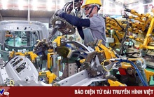 Gắn tăng trưởng với hiệu quả thực chất