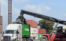 Nhộn nhịp xuất nhập khẩu những ngày giáp Tết