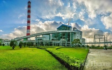 Nhiệt điện Hải Phòng phản hồi về thông tin nộp bổ sung gần 1,8 tỷ tiền thuế