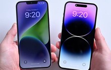 iPhone 14 Pro Max lỗi sọc màn hình tại Việt Nam sẽ không được bảo hành