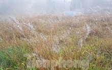 Nhiệt độ xuống 0 độ C, băng giá xuất hiện trên đỉnh Mẫu Sơn