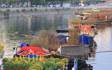 Chợ hoa 'Trên bến dưới thuyền' ở TP.HCM rộn ràng sắc xuân