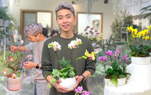 Cây cảnh mini giá mềm lên ngôi, chủ tiệm cây kiếm 7 triệu đồng/ngày dịp cận Tết Nguyên đán