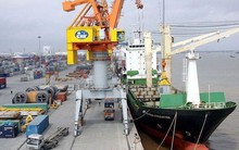 Cảng Đồng Nai (PDN): Doanh thu lần đầu cán mốc nghìn tỷ, EPS đạt 11.080 đồng