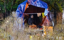 Tiểu thương trùm chăn dưới trời rét buốt, thấp thỏm trông cây cảnh qua đêm