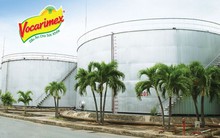 Vocarimex (VOC) bất ngờ báo lỗ 46 tỷ đồng trong năm 2022