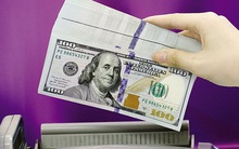 Kiều hối về TP Hồ Chí Minh đạt 6,8 tỷ USD