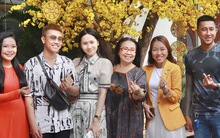 Sức mua yếu, khách sạn, tour Tết vẫn chờ khách