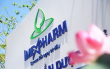 Quý 4, Imexpharm lãi 79 tỷ đồng tăng 19% so với cùng kỳ