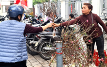 Chợ Tết 2023: Nhiều loại hoa, quả tăng giá từ 20% đến 50%