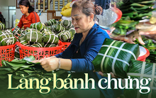Làng bánh chưng Tranh Khúc tất bật vụ Tết, có gia đình truyền đời nhau qua 4 thế hệ