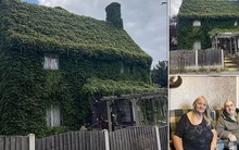 Bất ngờ với ngôi nhà tự giữ ấm suốt mùa đông ở Anh