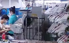 Tái cơ cấu ngành Công Thương để thúc đẩy chuyển dịch cơ cấu nền kinh tế