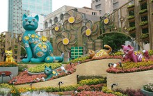 TP Hồ Chí Minh: Đường hoa Nguyễn Huệ đẹp lung linh trước giờ khai mạc