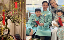 Tết nhà sao Việt: Á hậu Mâu Thuỷ tậu chậu mai cao 2 mét, vợ chồng Cường Đô La - Đàm Thu Trang chưng mai đào quất kín nhà