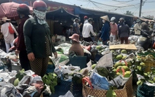 Cận Tết nhà vườn Tiền Giang phấn khởi vì nhiều loại trái cây sốt giá