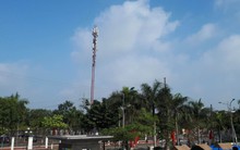 Các nhà mạng ứng dụng công nghệ AI, Bigdata đảm bảo liên lạc thông suốt dịp Tết