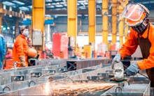 Sức mạnh nội sinh đưa Việt Nam vượt lên thách thức mới