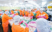 Nam Việt (ANV) báo lãi gấp hơn 5 lần trong năm 2022