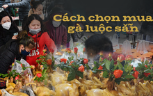 Đi chợ 30 Tết: chọn gà luộc sẵn nhớ kỹ 3 đặc điểm để mua được gà tươi ngon, tránh mua phải gà cũ, bị luộc lại