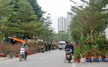 Môi giới bất động sản: Trong năm ế đất, cuối năm ế quất, đào