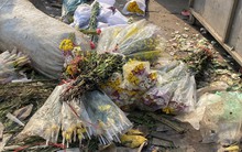 Chiều 30 Tết: Đào, tuyết mai, lan hồ điệp... rẻ chưa từng có chỉ từ 20.000 đồng, tiểu thương ngậm ngùi vứt bỏ hoa ế, người dân tranh thủ đến lượm