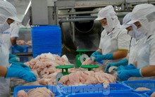 Thủy sản Việt Nam và những kỷ lục ấn tượng nhất từ trước tới nay