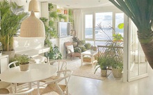 5 loại cây có ý nghĩa tốt đẹp, sắm về nhà giúp mang may mắn trong năm mới