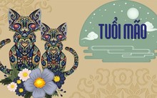 4 CEO tuổi Mão quyền lực của ngành ngân hàng: Người đi lên từ nhân viên tín dụng, người xuất phát từ ngành hàng không