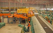 Kho chia chọn triệu USD của GHN tại Hà Nội: Công nghệ tự cân đo khối lượng, kích thước và phân loại kiện hàng, xử lý tới 3,5 triệu đơn/ngày