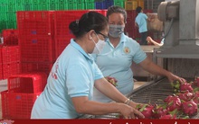 Hơn 37.000 tấn hoa quả xuất qua cửa khẩu Lào Cai