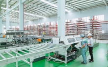 Việt Nam cần những doanh nghiệp giữ vai trò ‘sếu đầu đàn’ trong lĩnh vực sản xuất