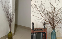 Hết Tết rồi mà tuyết mai… chưa nở