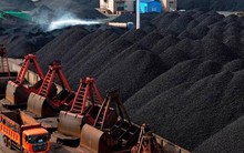 “Vàng đen” sốt giá, cổ phiếu DN than NBC, TDN, CST… đồng loạt tăng kịch trần trong phiên đầu năm