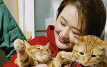 Kiếm 34 triệu nhờ dịch vụ đến tận nhà để cho mèo ăn dịp Tết