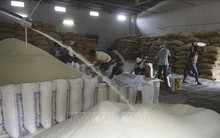 Giá gạo Ấn Độ tăng lên mức cao nhất trong gần hai năm