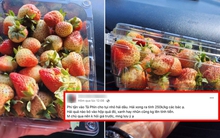 Đầu năm 'bóc phốt' vườn dâu tại Sa Pa nhưng nữ du khách lại bị cộng đồng mạng phản đối vì quá vô lý