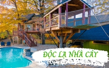 Cụ ông 60 tuổi dốc sạch tiền tiết kiệm để xây một ngôi nhà trên cây, vừa ở vừa cho thuê kiếm thêm tiền rồi rao bán tới 1,25 triệu USD