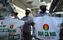 Đạt kỷ lục mới, Đạm Cà Mau (DCM) lãi gần 4.300 tỷ đồng trong năm 2022, gấp 2,3 lần cùng kỳ, cao hơn tổng lợi nhuận của cả 5 năm trước