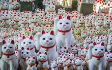 Các biểu tượng may mắn trên thế giới: Khi vảy cá chép cũng được tin là đem lại phước lành