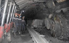 Cổ phiếu ngành than khai xuân rực rỡ nhờ báo lãi 2022 tưng bừng