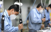 Toàn cảnh bức tranh kinh tế tháng 1/2023