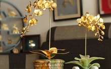 Mua nhanh 5 món đồ “hợp ví tiền” này trong ngày vía Thần Tài để rước lộc vào nhà