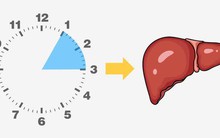 Nếu bạn luôn thức giấc vào hai khoảng thời gian này khi ngủ vào ban đêm thì có thể gan đang lên tiếng kêu cứu rồi đấy