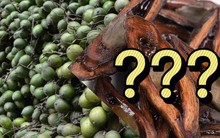 Không ngờ quả cau của Việt Nam lại trở thành món kẹo lạ tại nước bạn, được người dân cực thích