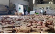 Phát hiện hàng chục tấn lòng lợn bẩn tại TP Móng Cái