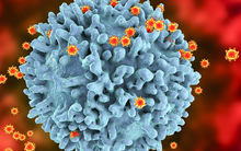 Ghi nhận hơn 500 biến thể SARS-CoV-2, Bộ Y tế  khuyến cáo phòng COVID-19